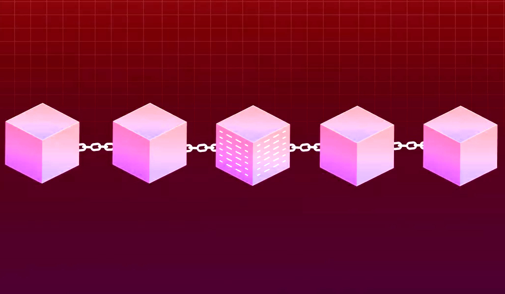 Blockchain Immutability System